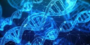 Read more about the article Ethical Dilemmas in Biotechnology: CRISPR, Gene Editing, and Bioethics